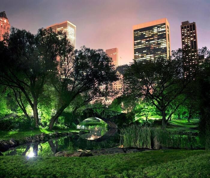 Central Park, New York