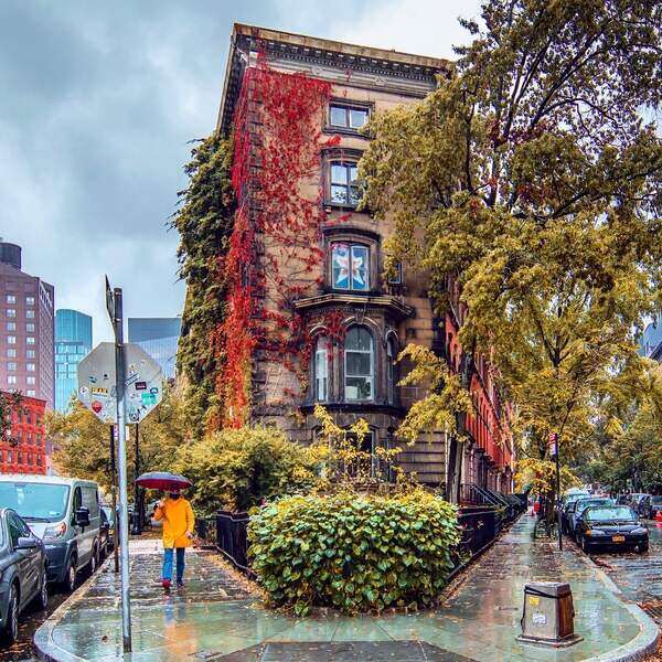 Stuyvesant Caddesi New York