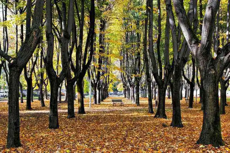 Parco di Monza, Milano'da ne yapılır