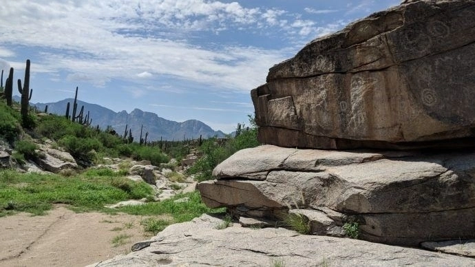 Oro Valley, Tucson ABD