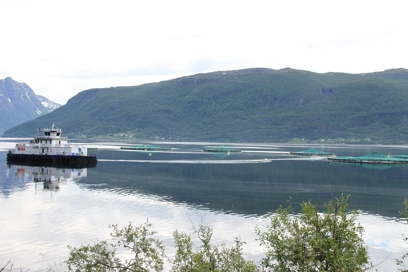 Tromso Kvaloya