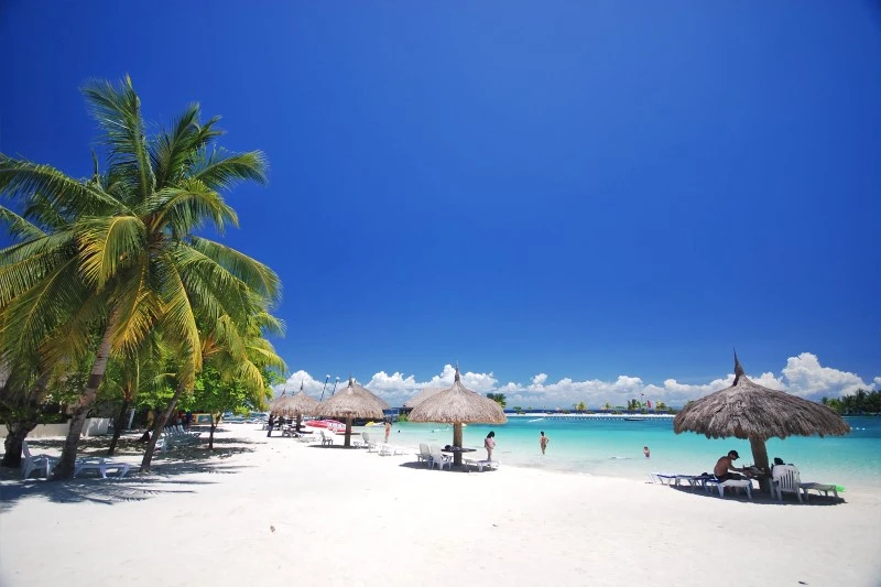 Cebu Adası Filipinler