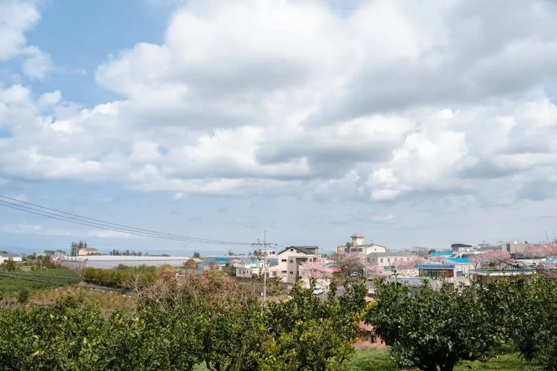 Aewol Jeju Adası