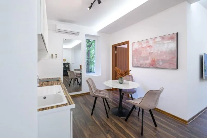 Dedinje apartment