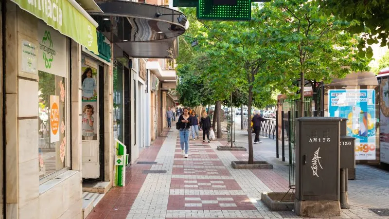 Granada Zaidin